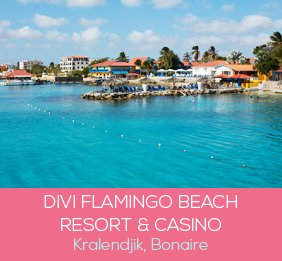 flamingo beach resort page, divi vacation resort member benefits for carina bay resort in bonaire